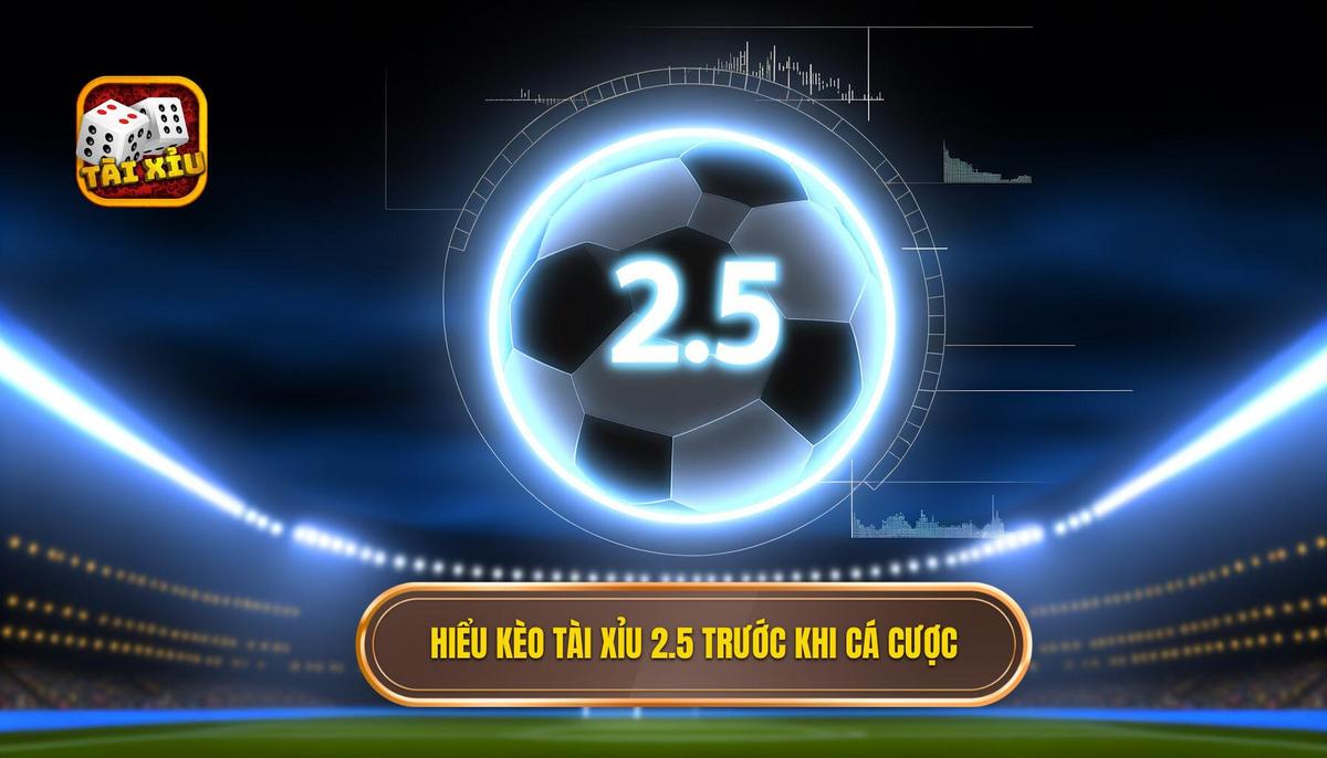 Khám Phá Kinh Nghiệm Bắt Kèo Tài Xỉu 2.5 Dành Cho Người Chơi Kèo Tài Xỉu 2.5 là gì_ Hiểu đúng bản chất trước khi xuống tiền